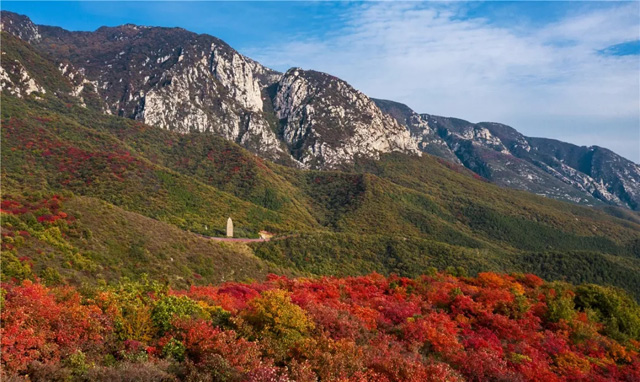 嵩山紅葉